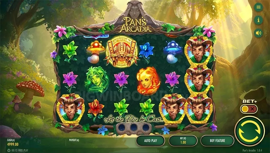 bet100 Advanced Poker Strategies