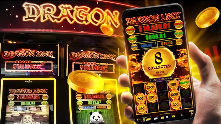 Illustration of diverse Phdream bonus types